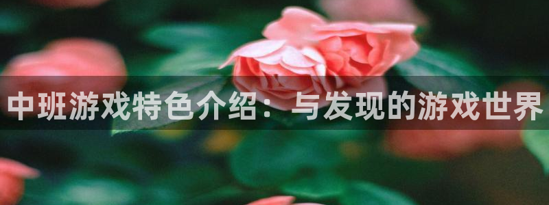 辉达娱乐：中班游戏特色介绍：与发现的游戏世界