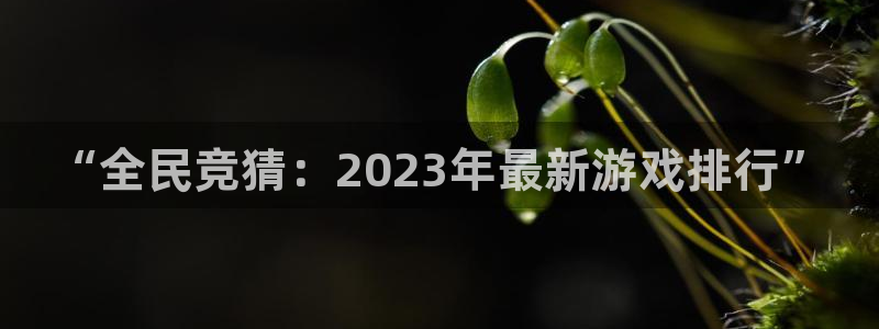 辉达娱乐注册：“全民竞猜：2023年最新游戏排行”