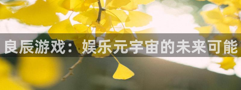 辉达娱乐登陆地址：良辰游戏：娱乐元宇宙的未来可能