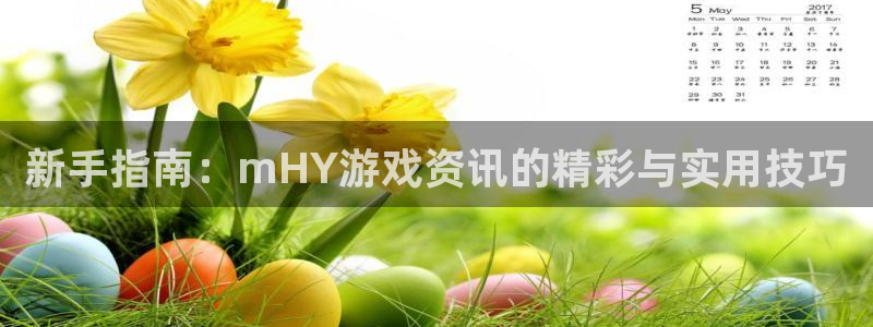 辉达娱乐登陆测速：新手指南：mHY游戏资讯的精彩与实用技巧