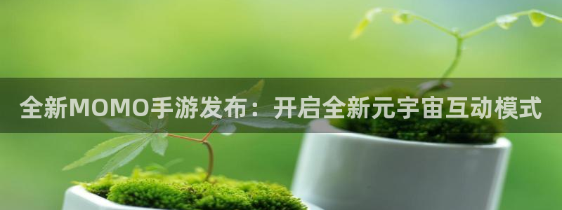 辉达娱乐平台注册开户：全新MOMO手游发布：开启全新元宇宙互