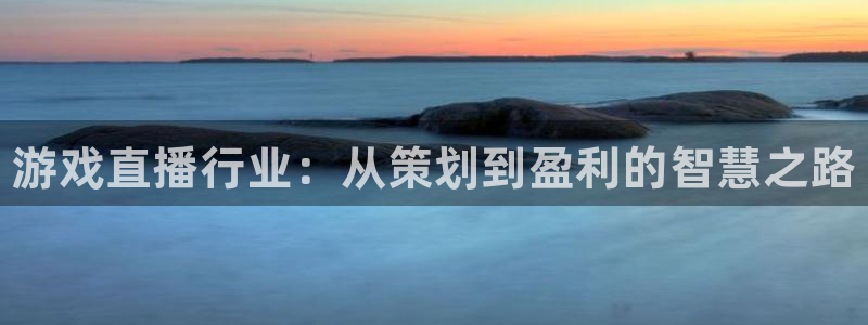 辉达娱乐平台登录线路：游戏直播行业：从策划到盈利的智慧之路