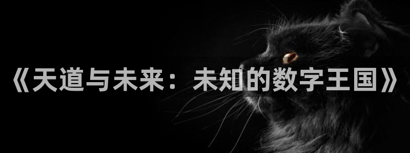 辉达娱乐平台注册：《天道与未来：未知的数字王国》