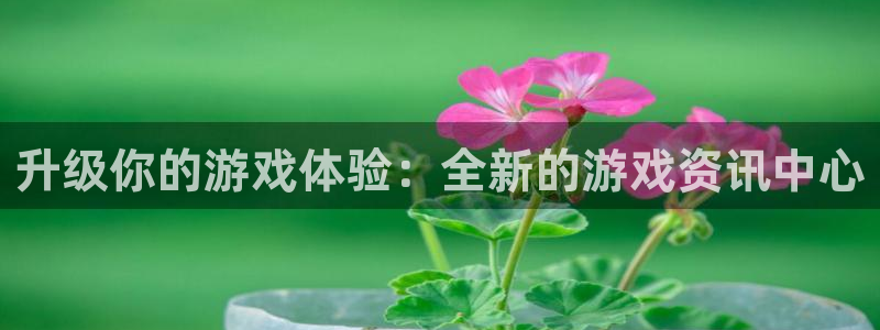 辉达娱乐官方注册登录：升级你的游戏体验：全新的游戏资讯中心