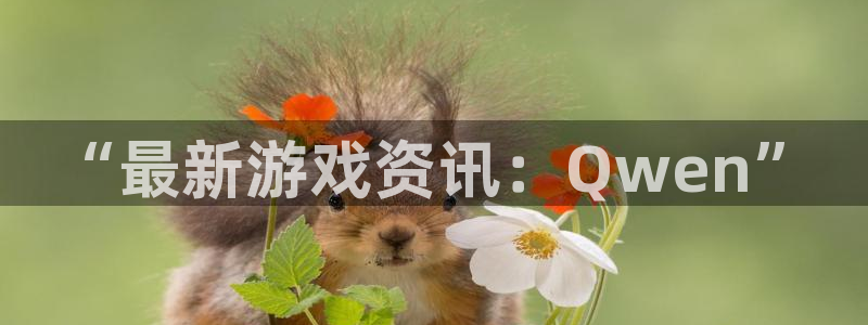 辉达娱乐登陆测速：“最新游戏资讯：Qwen”