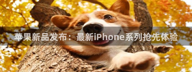 辉达娱乐平台官网登录：苹果新品发布：最新iPhone系列抢先