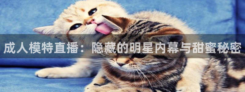 看球吧直播官网：成人模特直播：隐藏的明星内幕与甜蜜秘密