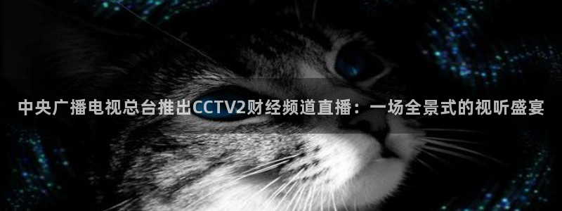 看球吧直播入口：中央广播电视总台推出CCTV2财经频道直播：一场全景式的视听盛宴