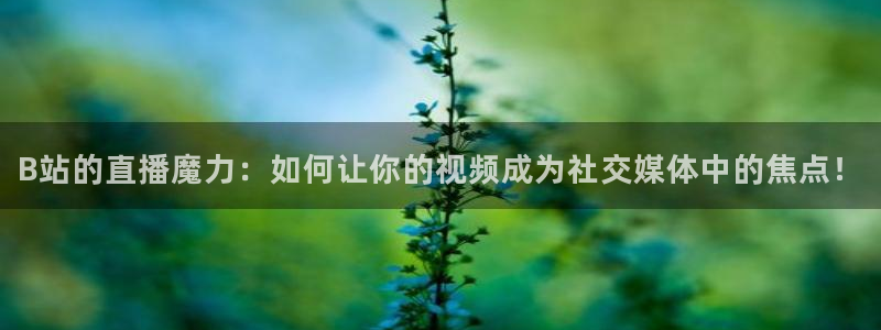 看球吧直播入口
